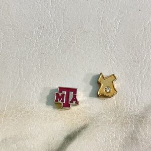 Enamel and gold tone Texas TAM  and state charm for use in lockets